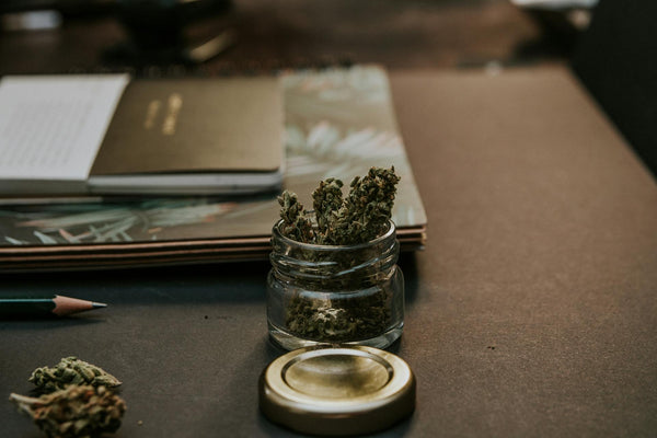 Bong Buying Guide: How to Choose the Right Bong for You